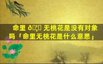 命里 🦍 无桃花是没有对象吗「命里无桃花是什么意思」
